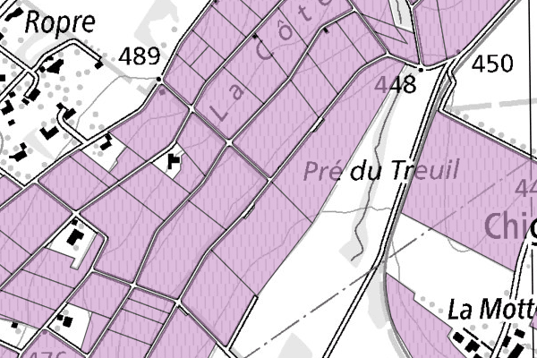 Cadastre viticole