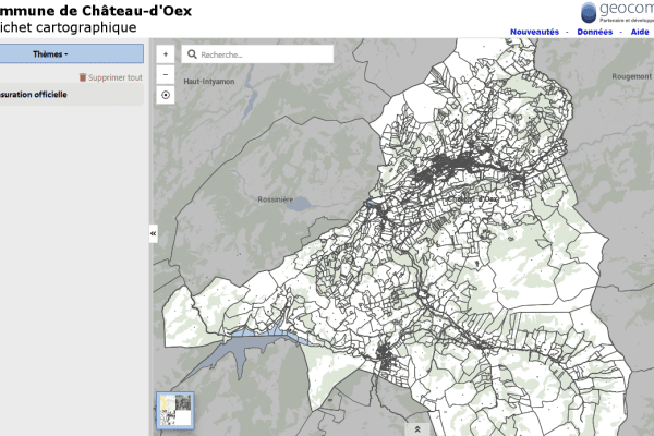 Guichet cartographique de Château-d'Oex
