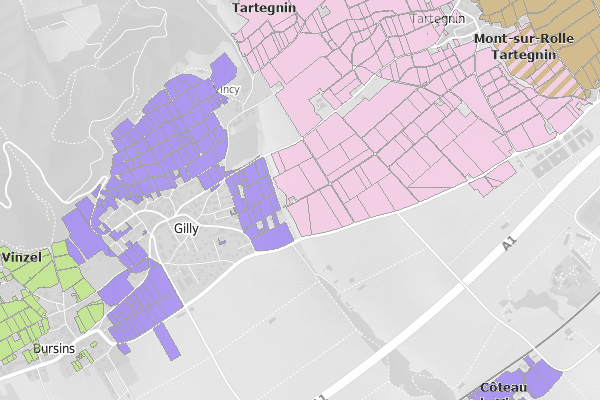 Cadastre viticole