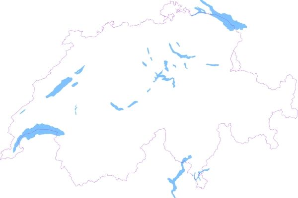 Limites administratives simplifiées (SVG)