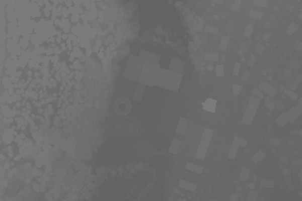 LiDAR 2025 - Modèle numérique de surface (MNS)