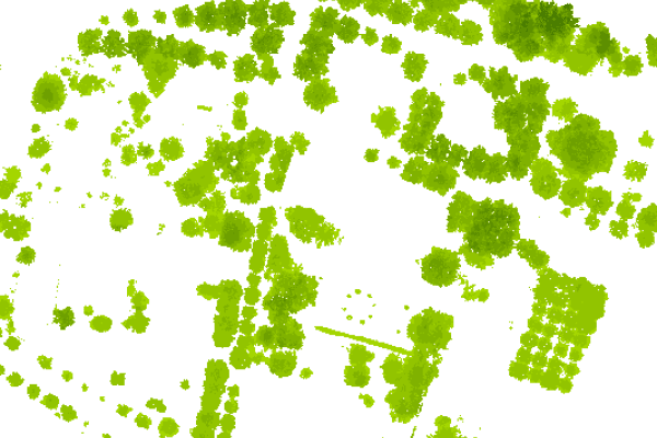 LiDAR 2025 - Modèle numérique de hauteur de la canopée (MNHC)
