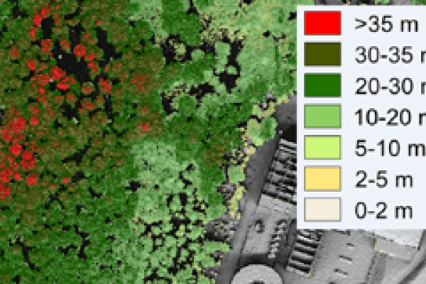 LIDAR 2012 - Hauteur de la végétation ou modèle numérique de canopée (MNC)
