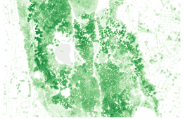 LIDAR 2019 - Modèle numérique de hauteur de végétation (MNHV)