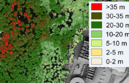 LIDAR Lausanne 2012 - Hauteur de la végétation ou modèle numérique de canopée (MNC)